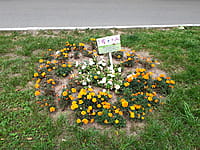 "Ельниковская роща", парк культуры и отдыха. 30 августа 2021 (пн).