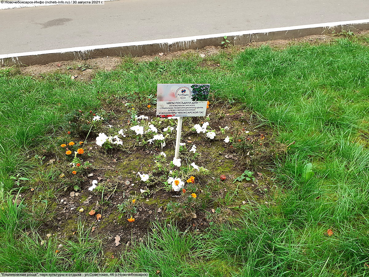 "Ельниковская роща", парк культуры и отдыха. 30 августа 2021 (пн).