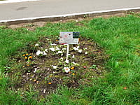 "Ельниковская роща", парк культуры и отдыха. 30 августа 2021 (пн).