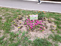 "Ельниковская роща", парк культуры и отдыха. 30 августа 2021 (пн).