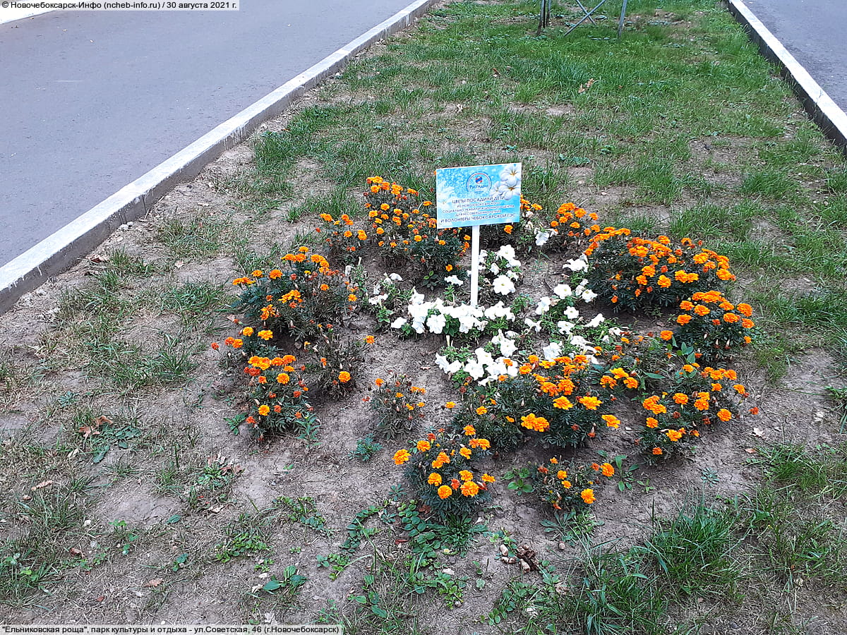 "Ельниковская роща", парк культуры и отдыха. 30 августа 2021 (пн).