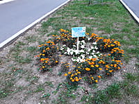 "Ельниковская роща", парк культуры и отдыха. 30 августа 2021 (пн).