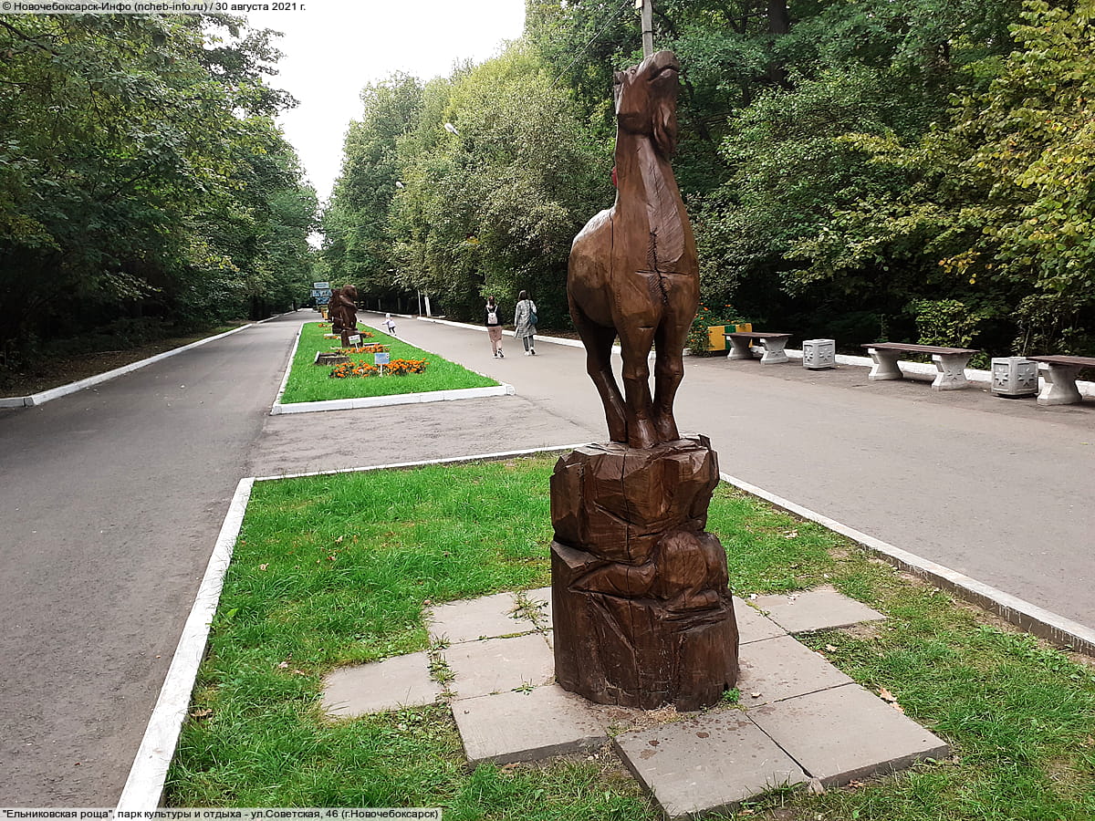 "Ельниковская роща", парк культуры и отдыха. 30 августа 2021 (пн).