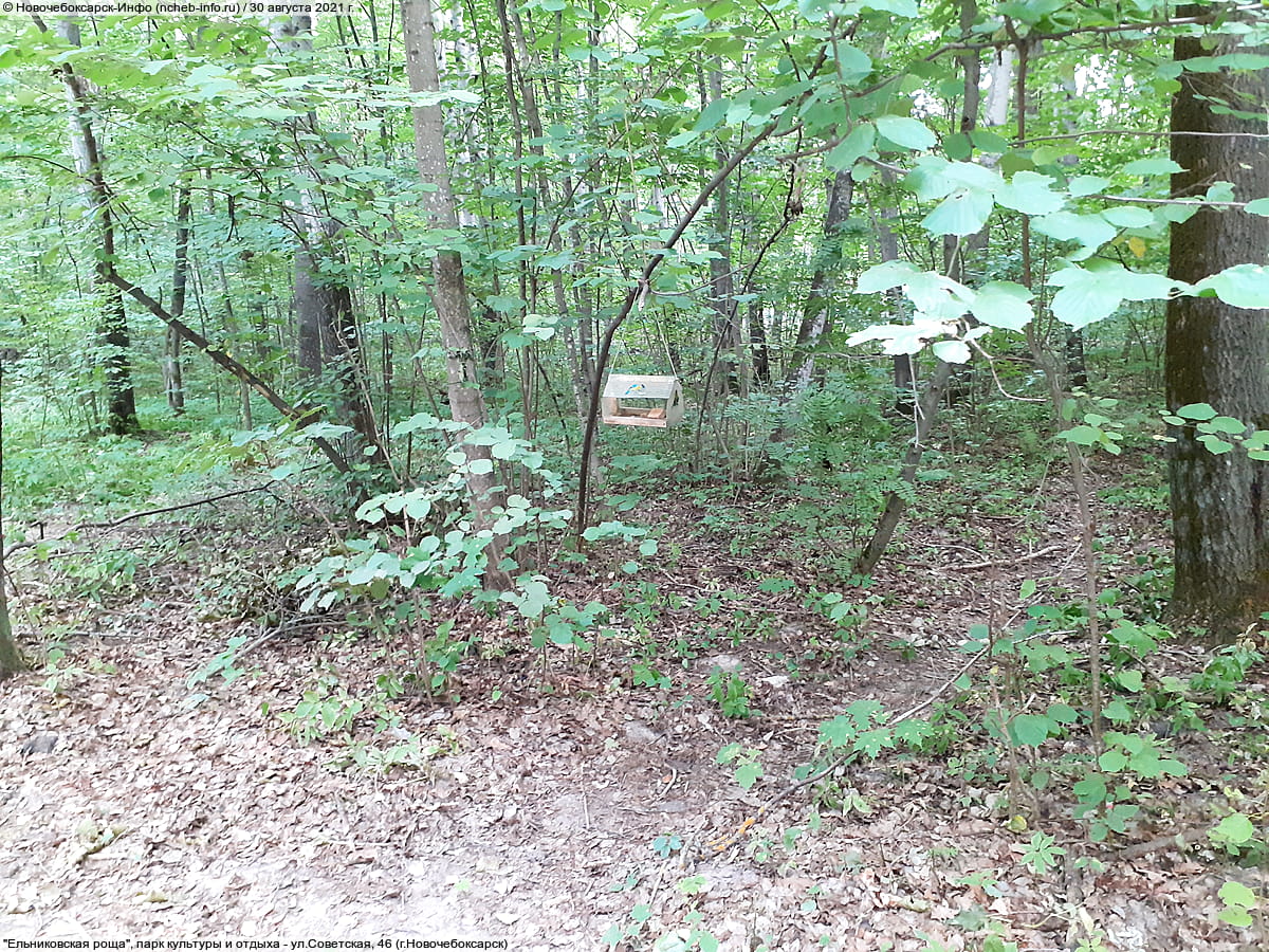 "Ельниковская роща", парк культуры и отдыха. 30 августа 2021 (пн).