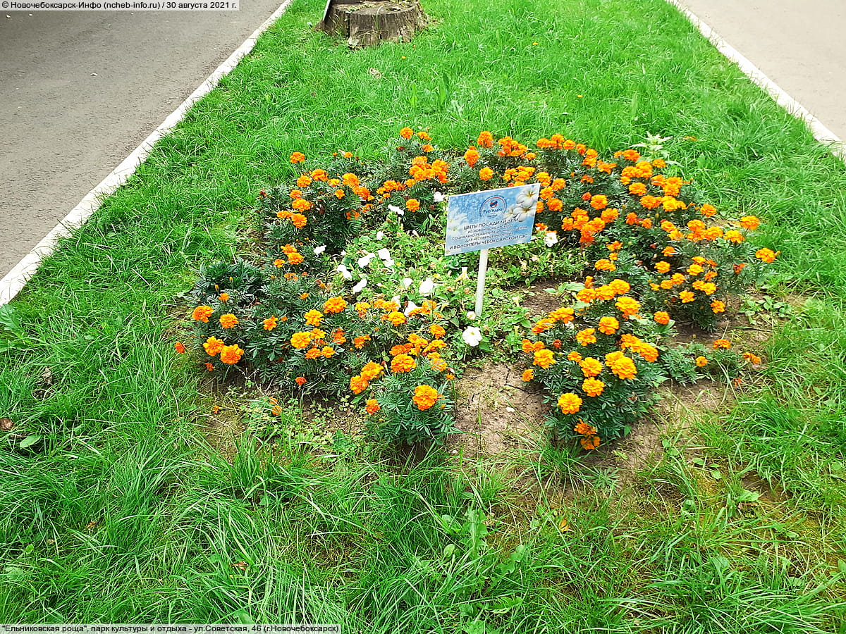 "Ельниковская роща", парк культуры и отдыха. 30 августа 2021 (пн).