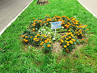 "Ельниковская роща", парк культуры и отдыха. 30 августа 2021 (пн).