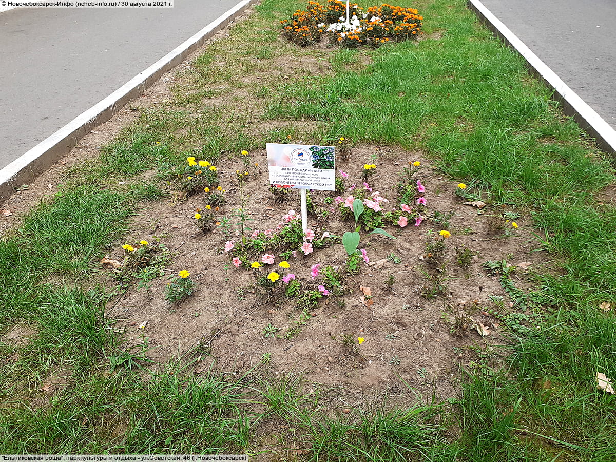 "Ельниковская роща", парк культуры и отдыха. 30 августа 2021 (пн).