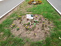 "Ельниковская роща", парк культуры и отдыха. 30 августа 2021 (пн).