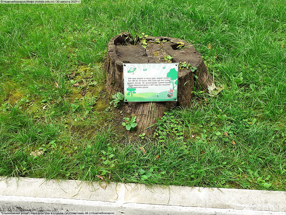 "Ельниковская роща", парк культуры и отдыха. 30 августа 2021 (пн).