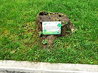 "Ельниковская роща", парк культуры и отдыха. 30 августа 2021 (пн).