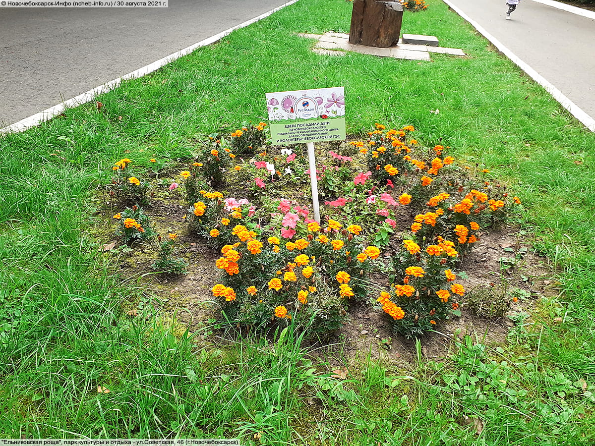 "Ельниковская роща", парк культуры и отдыха. 30 августа 2021 (пн).