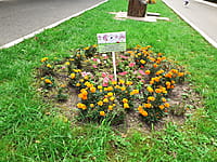 "Ельниковская роща", парк культуры и отдыха. 30 августа 2021 (пн).