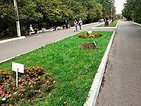 "Ельниковская роща", парк культуры и отдыха. 30 августа 2021 (пн).