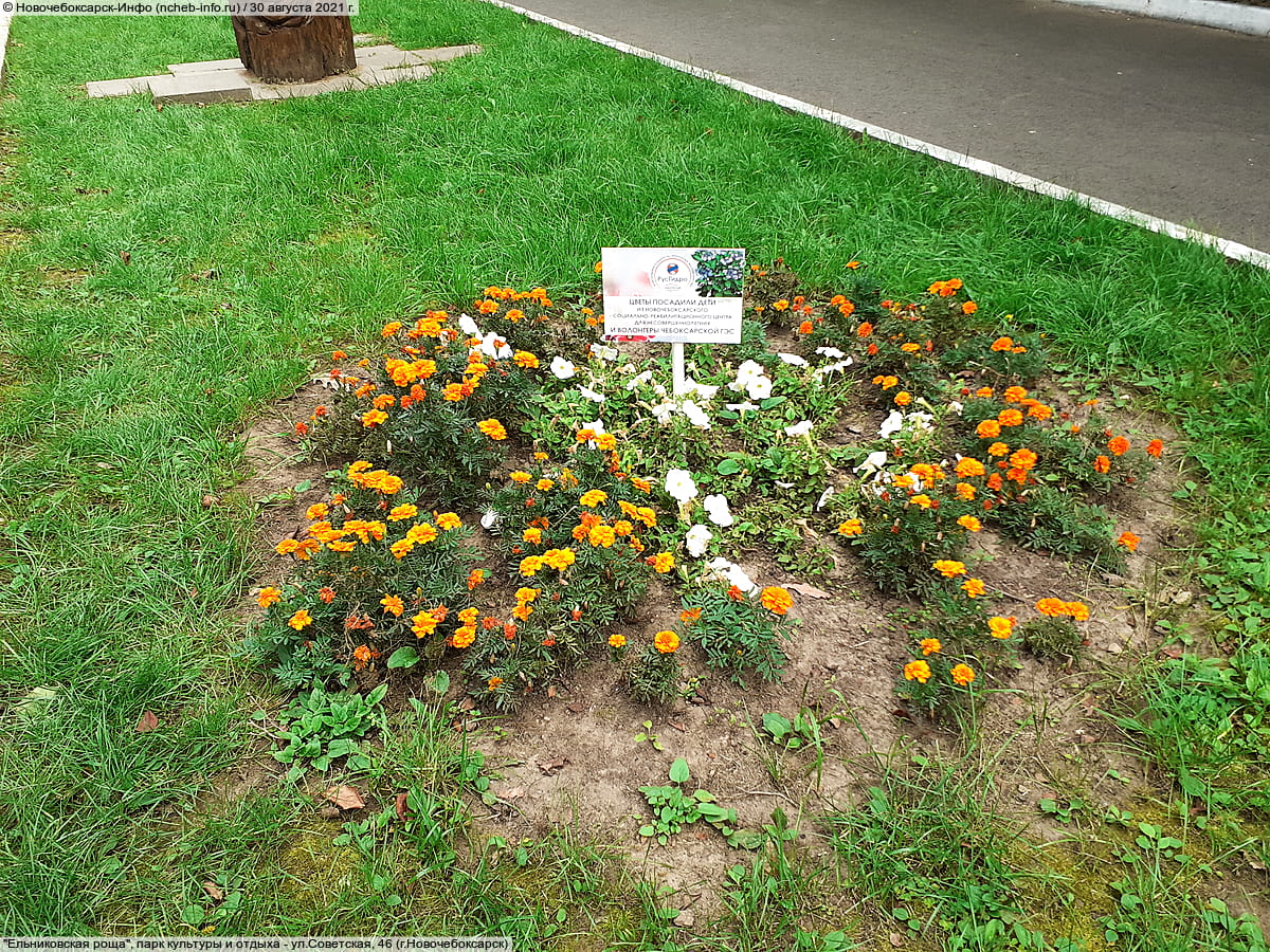 "Ельниковская роща", парк культуры и отдыха. 30 августа 2021 (пн).