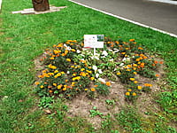 "Ельниковская роща", парк культуры и отдыха. 30 августа 2021 (пн).