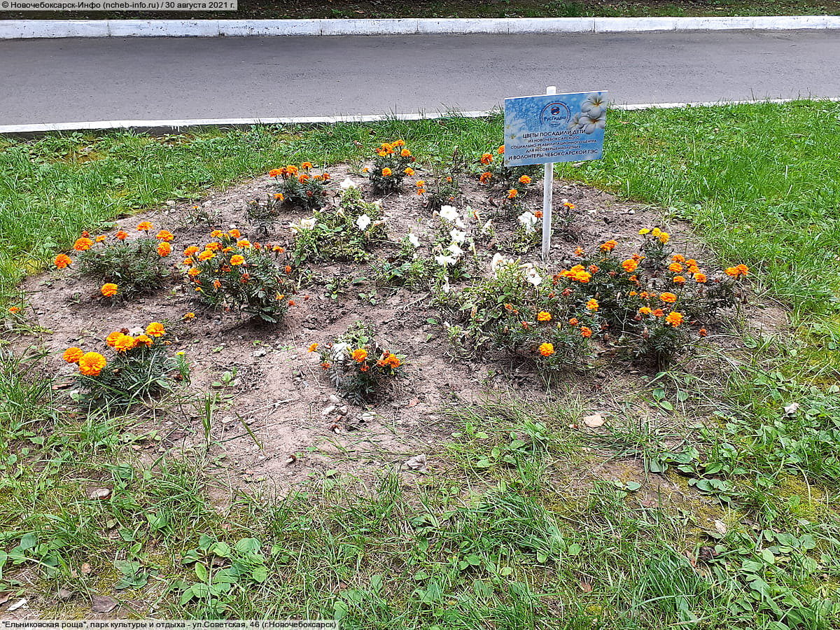 "Ельниковская роща", парк культуры и отдыха. 30 августа 2021 (пн).