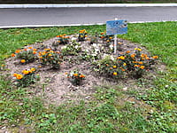 "Ельниковская роща", парк культуры и отдыха. 30 августа 2021 (пн).