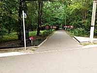 "Ельниковская роща", парк культуры и отдыха. 30 августа 2021 (пн).