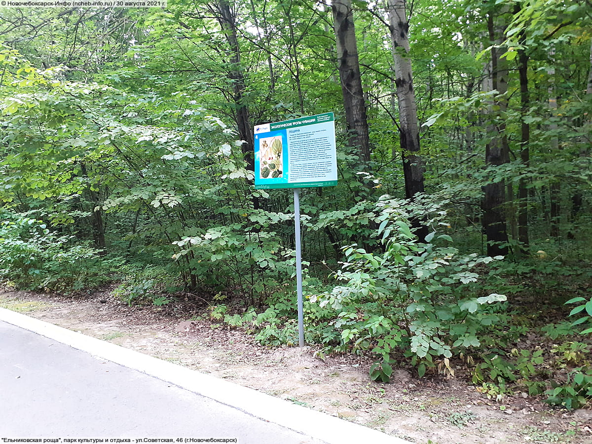 "Ельниковская роща", парк культуры и отдыха. 30 августа 2021 (пн).