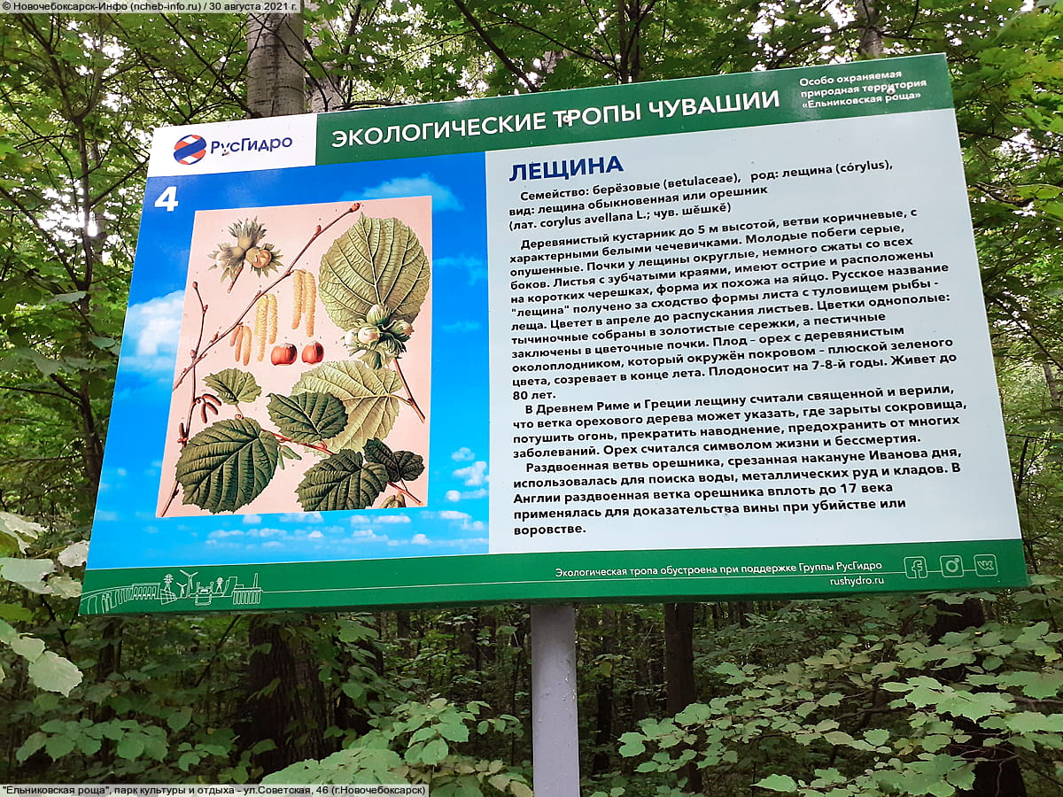 "Ельниковская роща", парк культуры и отдыха. 30 августа 2021 (пн).