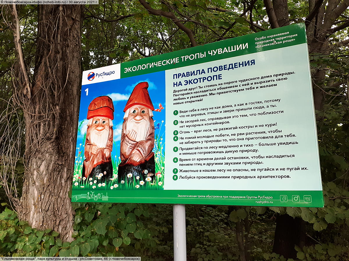 "Ельниковская роща", парк культуры и отдыха. 30 августа 2021 (пн).