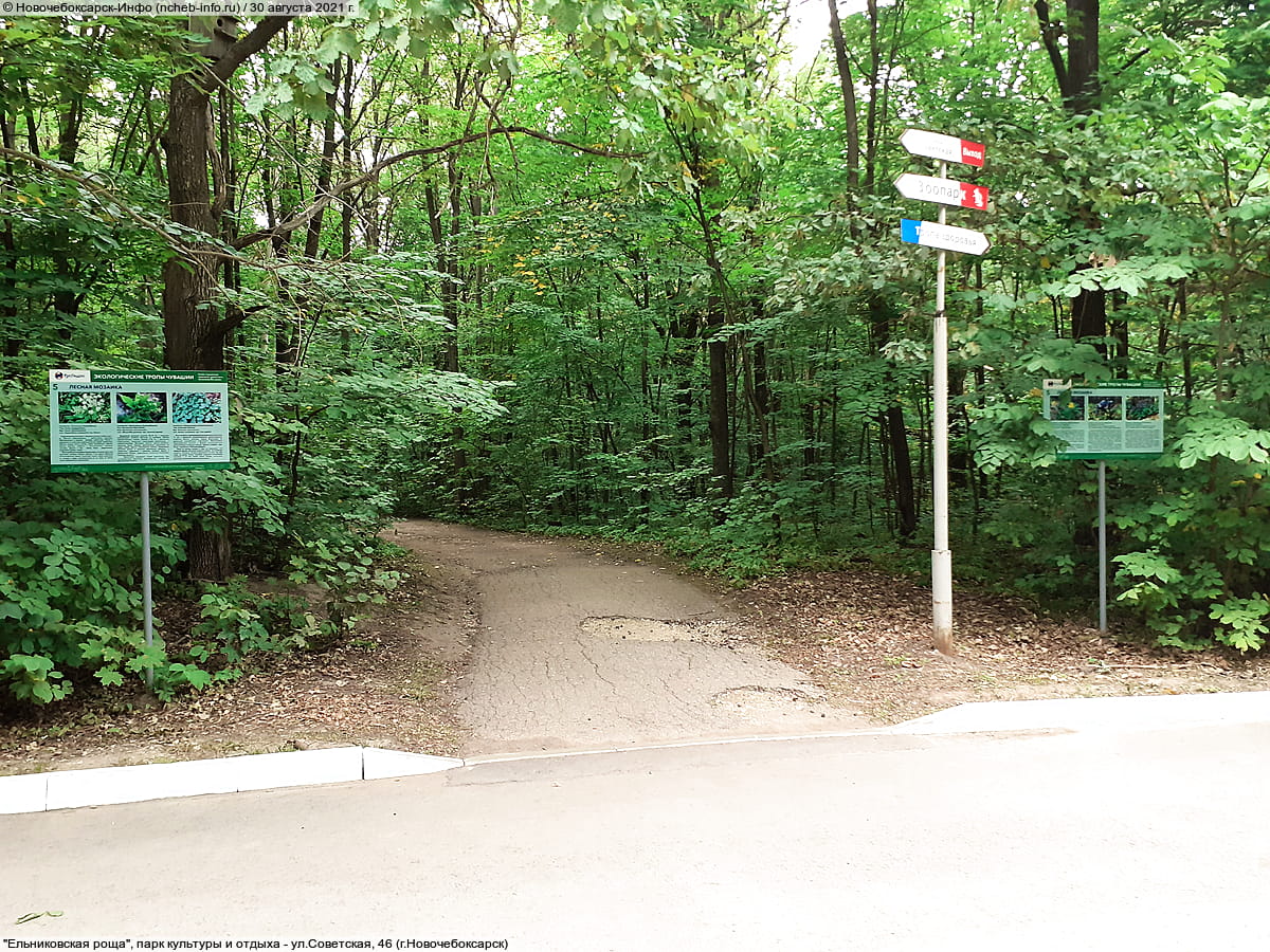 "Ельниковская роща", парк культуры и отдыха. 30 августа 2021 (пн).