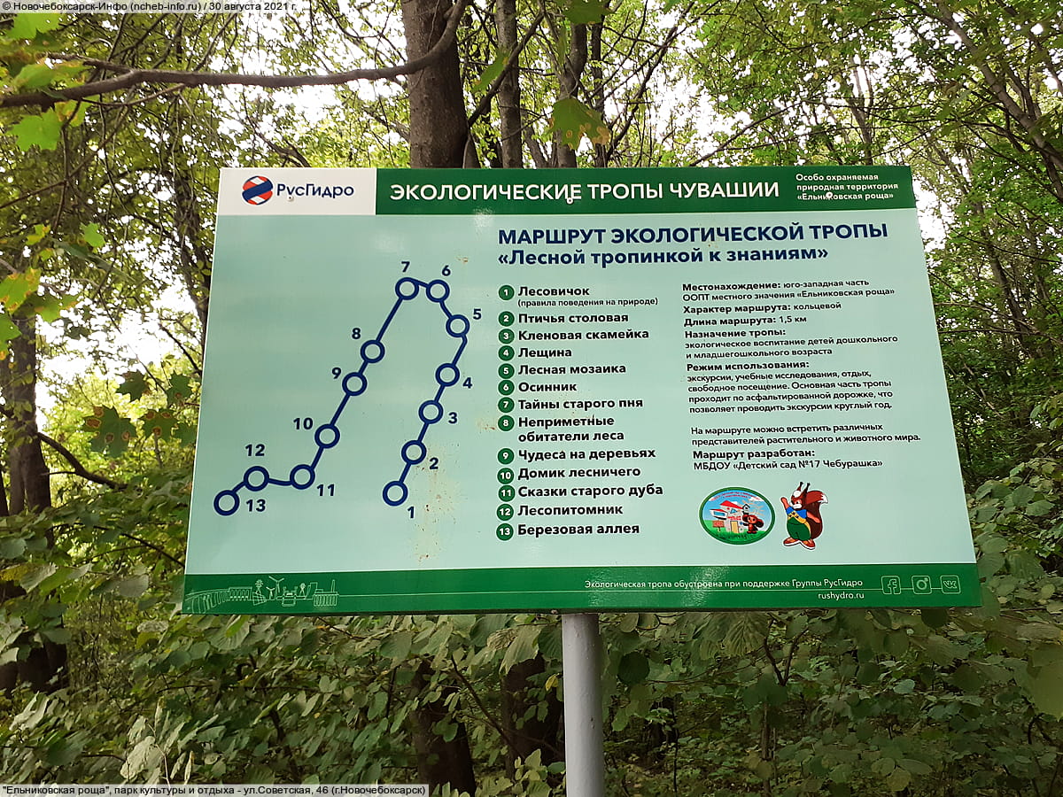 "Ельниковская роща", парк культуры и отдыха. 30 августа 2021 (пн).