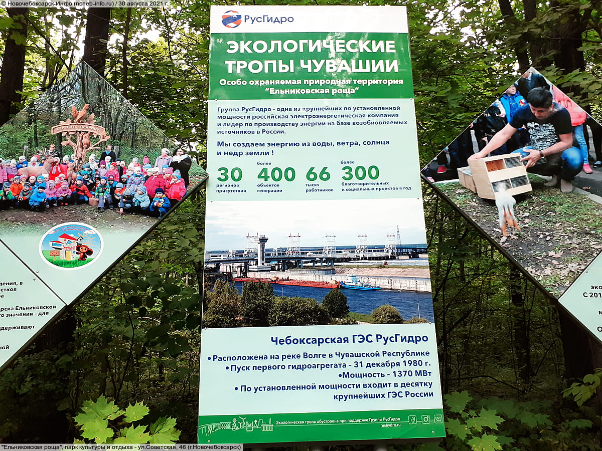 "Ельниковская роща", парк культуры и отдыха. 30 августа 2021 (пн).