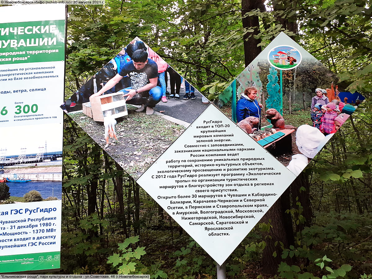 "Ельниковская роща", парк культуры и отдыха. 30 августа 2021 (пн).