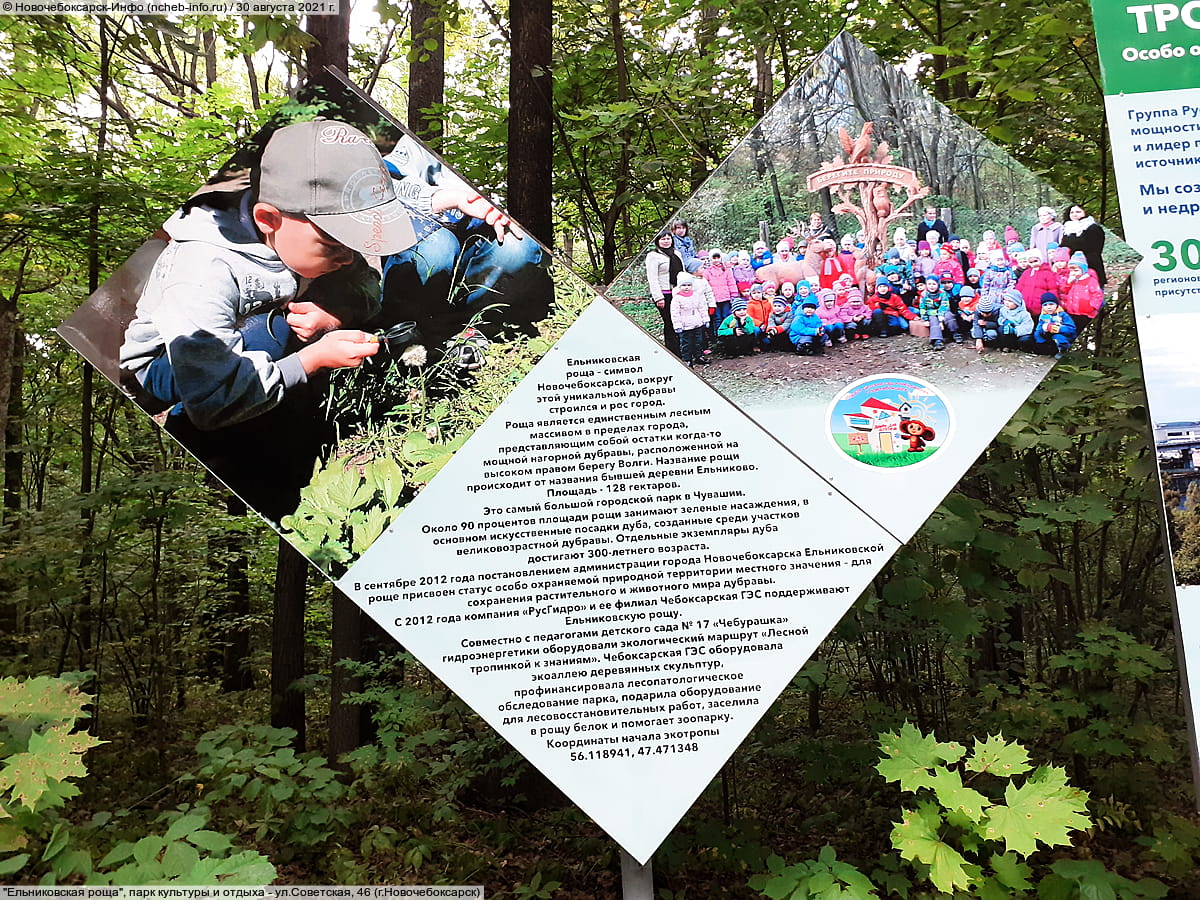 "Ельниковская роща", парк культуры и отдыха. 30 августа 2021 (пн).