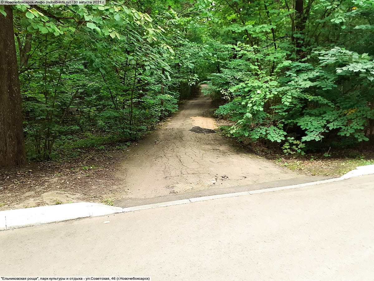 "Ельниковская роща", парк культуры и отдыха. 30 августа 2021 (пн).