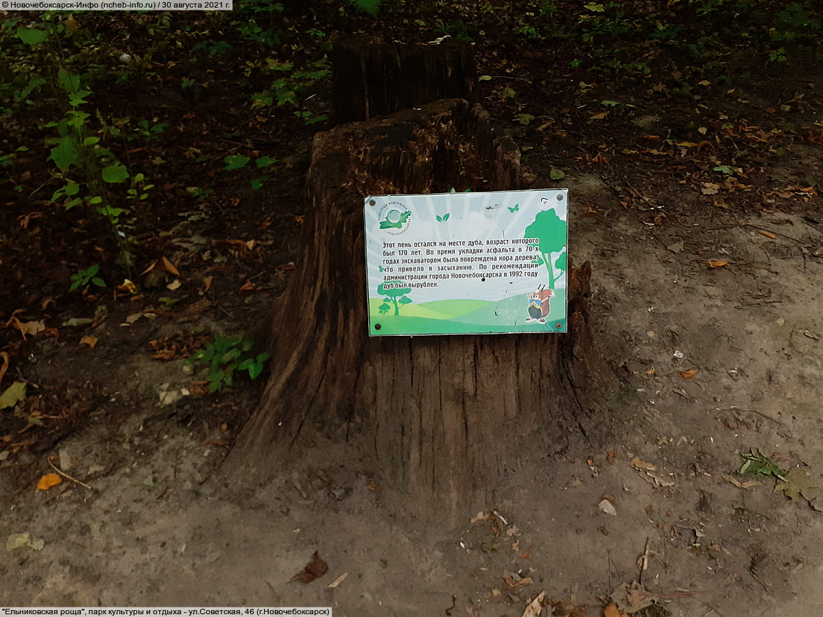 "Ельниковская роща", парк культуры и отдыха. 30 августа 2021 (пн).
