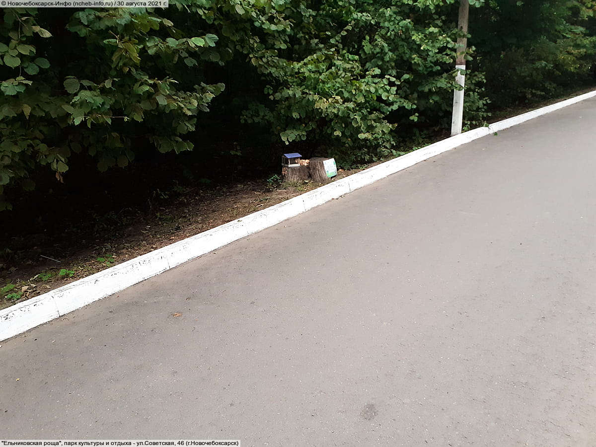 "Ельниковская роща", парк культуры и отдыха. 30 августа 2021 (пн).
