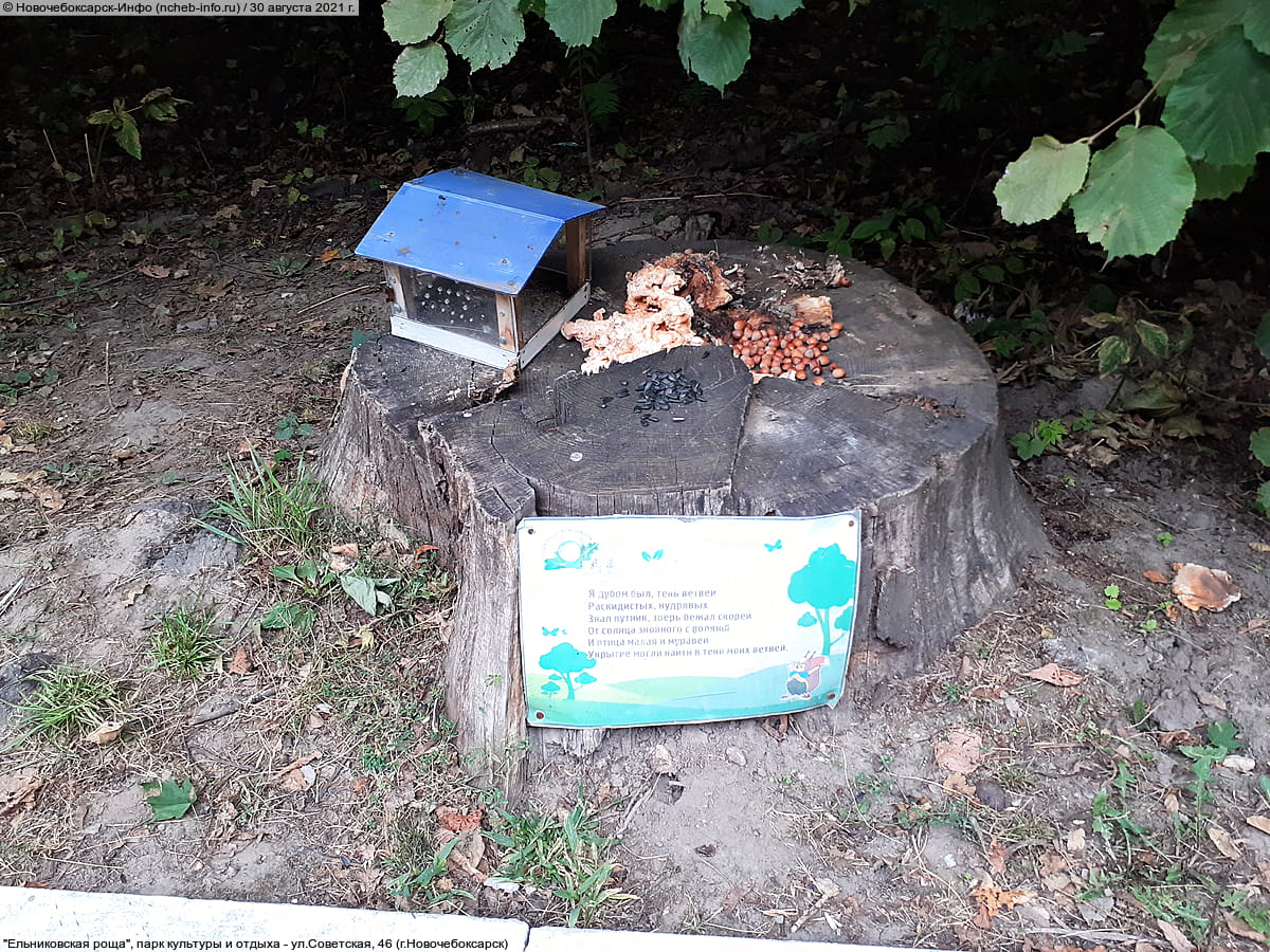 "Ельниковская роща", парк культуры и отдыха. 30 августа 2021 (пн).