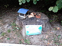 "Ельниковская роща", парк культуры и отдыха. 30 августа 2021 (пн).