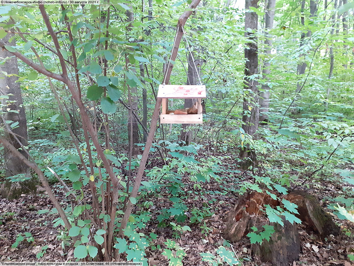 "Ельниковская роща", парк культуры и отдыха. 30 августа 2021 (пн).