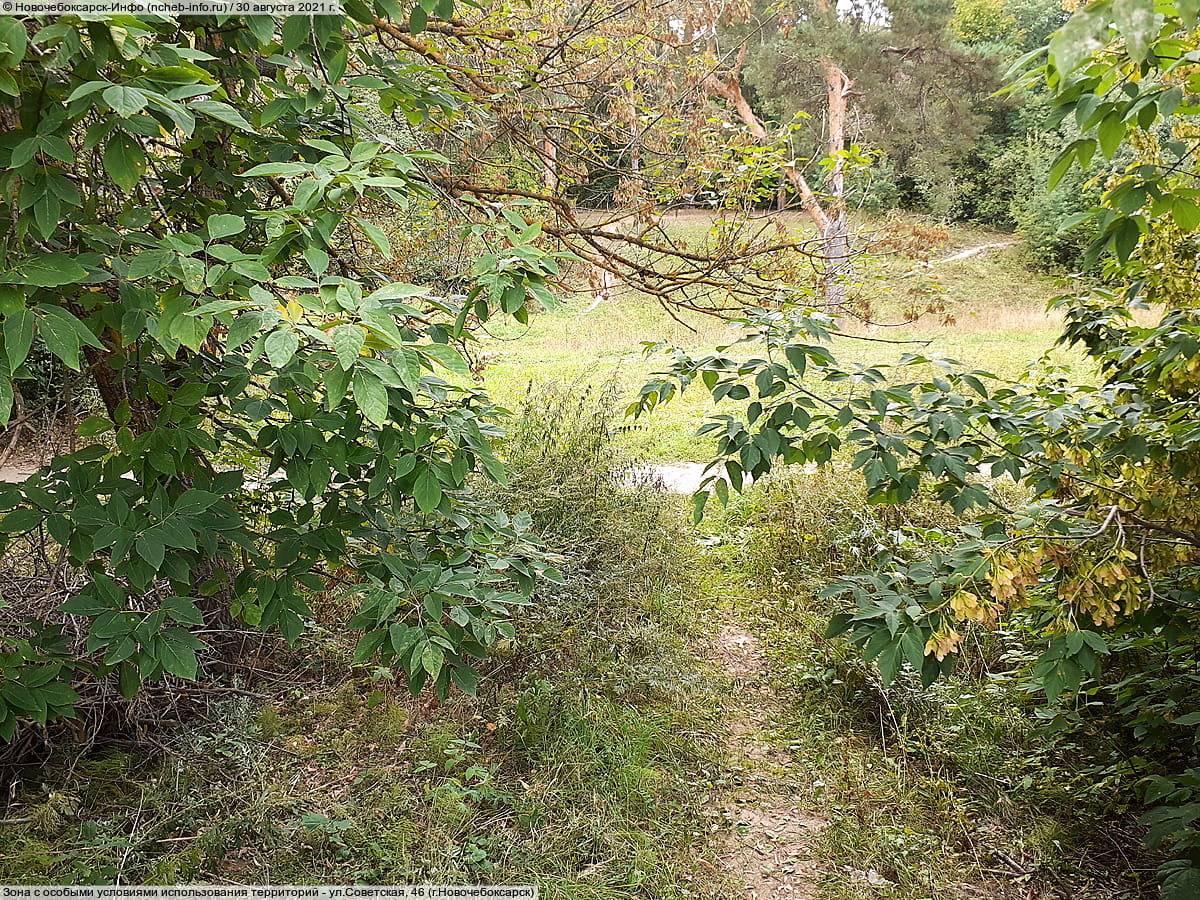 Парк культуры и отдыха "Ельниковская роща ". 30 августа 2021 (пн).
