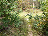 Парк культуры и отдыха "Ельниковская роща ". 30 августа 2021 (пн).