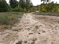 Улица Набережная . 30 августа 2021 (пн).