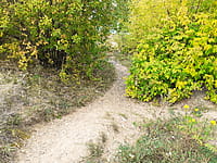 Улица Набережная . 30 августа 2021 (пн).