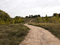 Улица Набережная . 30 августа 2021 (пн).