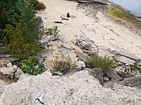 Улица Набережная . 30 августа 2021 (пн).