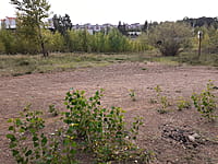 Улица Набережная . 30 августа 2021 (пн).