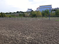 Улица Набережная (г. Новочебоксарск). 30 августа 2021 (пн).