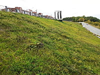 Улица Набережная (г. Новочебоксарск). 30 августа 2021 (пн).