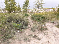 Улица Набережная (г. Новочебоксарск). 30 августа 2021 (пн).