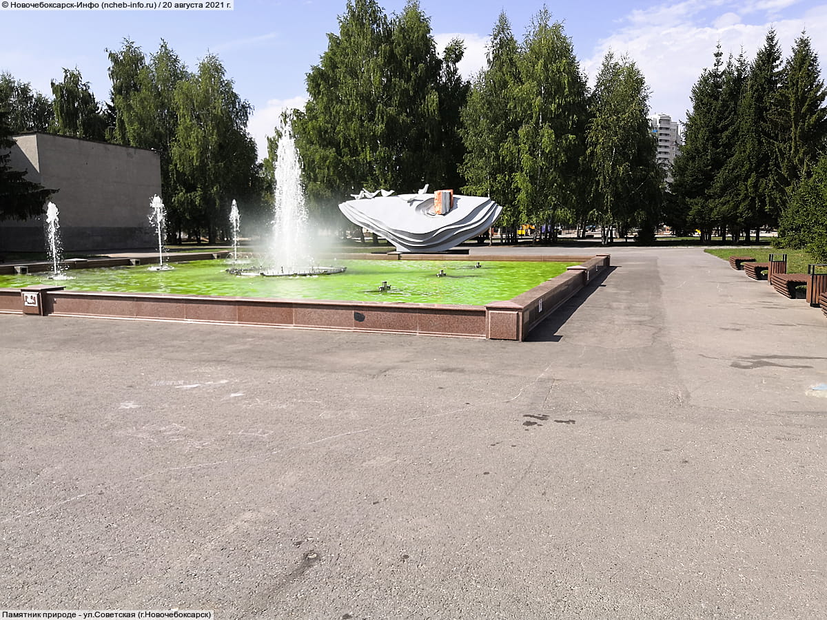 Памятник природе - ул. Советская (г. Новочебоксарск).