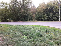 Улица Парковая . 30 августа 2021 (пн).