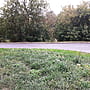 Улица Парковая (Новочебоксарск).
