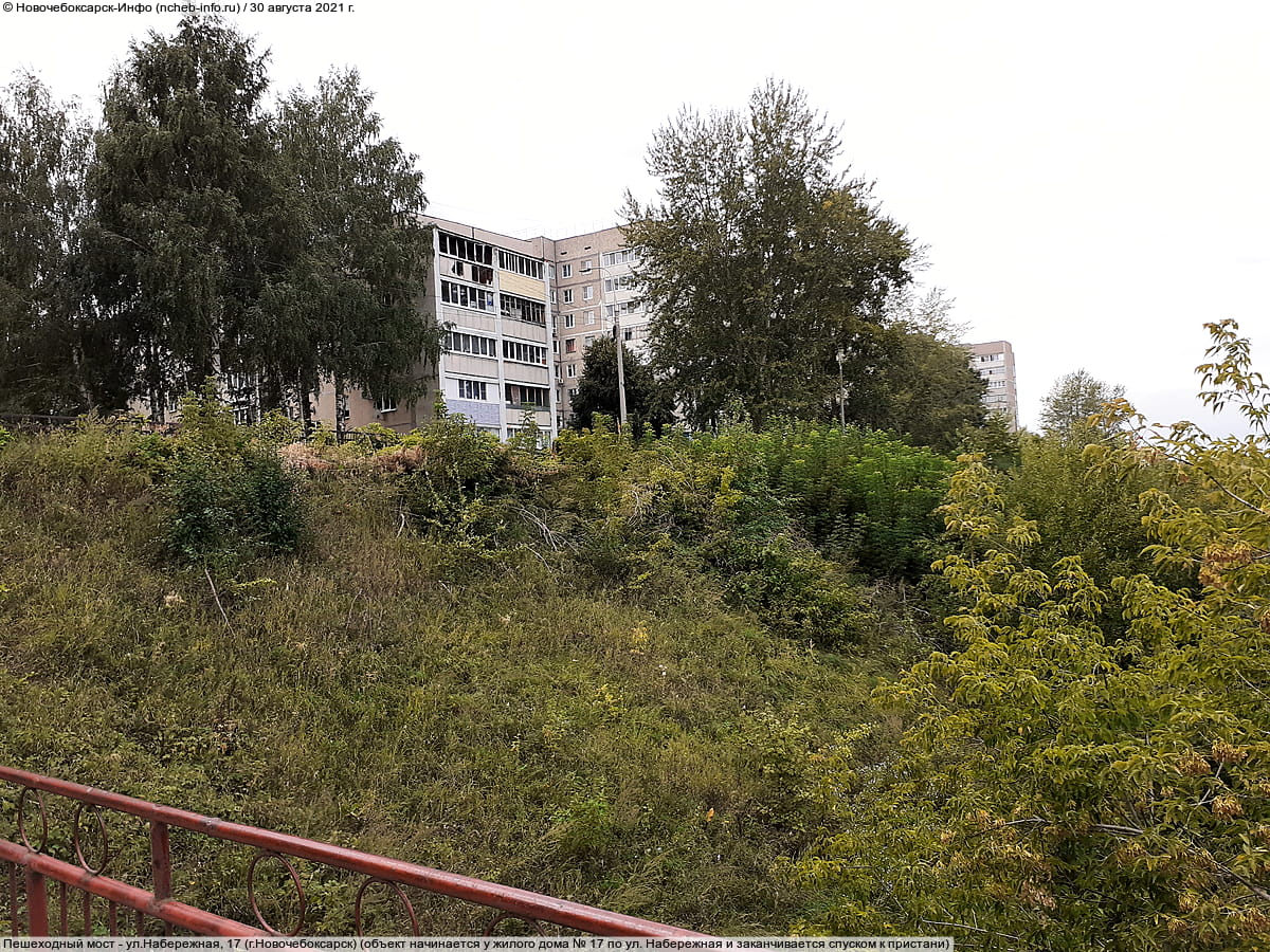 Пешеходный мост. 30 августа 2021 (пн).